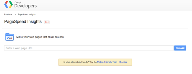 Pagespeed Insights - Google